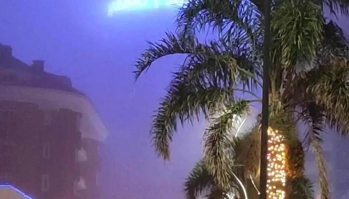 Freddo -  Videos - Maldonado