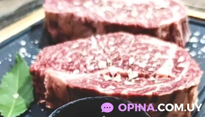 Frigorífico Frigoyi - 97000 Santa Bernardina