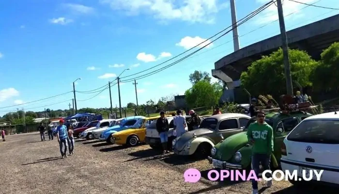 Frinn Resto Pub -  Todo - Rivera