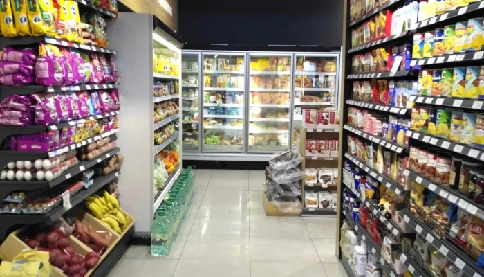 Frog 12 -  Todo - Montevideo