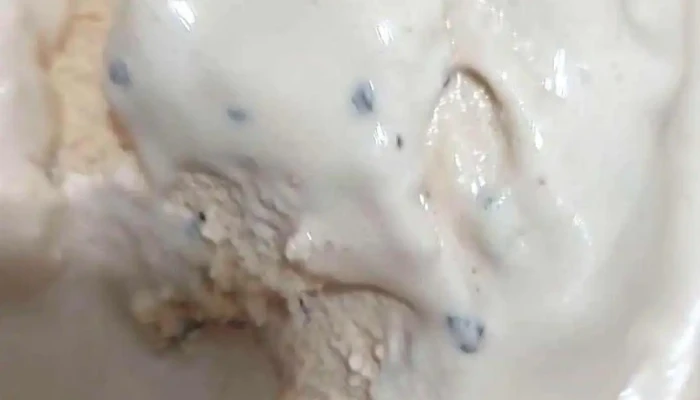 Frog 12 -  Videos - Montevideo