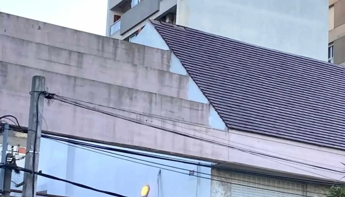 Frog Maxishop 19 -  Todo - Montevideo