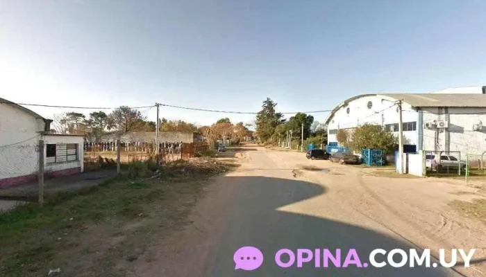 Frontier Pellets Uruguay - 15000 Ciudad De La Costa