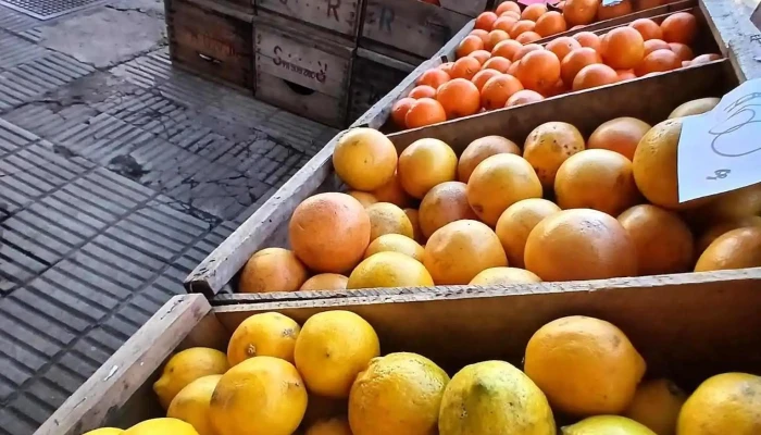Frutería y verduleria garzon - 55000 Artigas