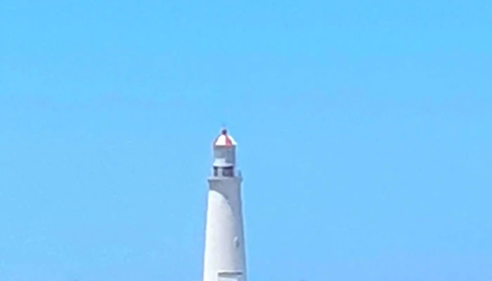 Fulana Playa -  Comentario 4 - La Paloma