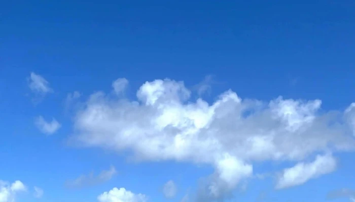 Fulana Playa -  Comentario 6 - La Paloma