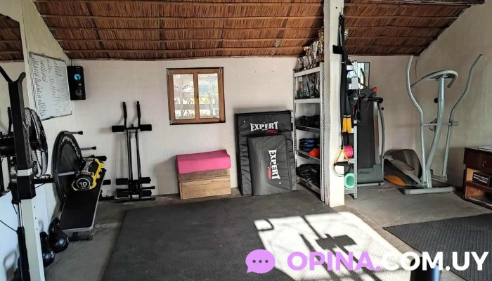 Funcional Training Gym -  Ejercicio Fisico - Vergara