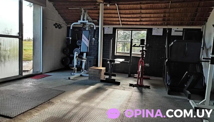 Funcional Training Gym -  Gimnasio - Vergara