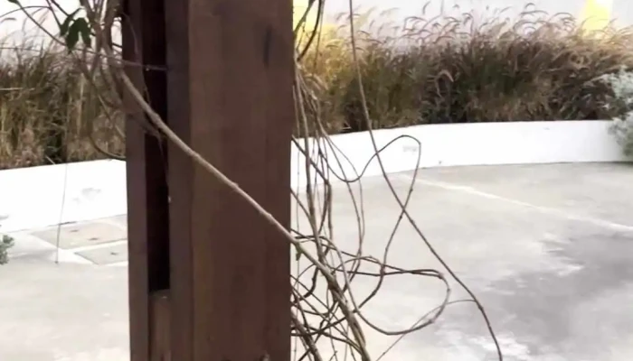 Fundacion Mario Benedetti Videos - Montevideo