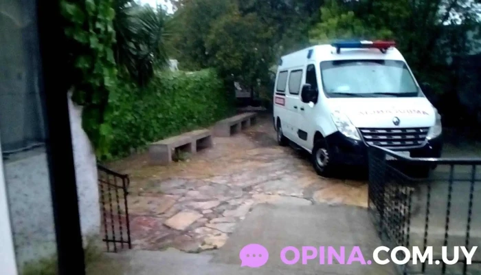 Fundacion San Pedro Del Durazno Videos - Durazno