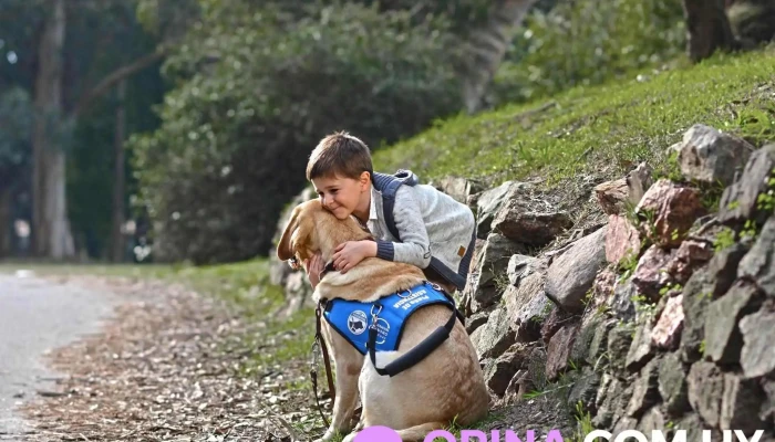 Fundappas -  Del Propietario - Montevideo