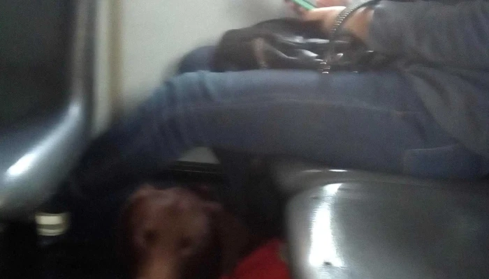 Fundappas -  Zona - Montevideo