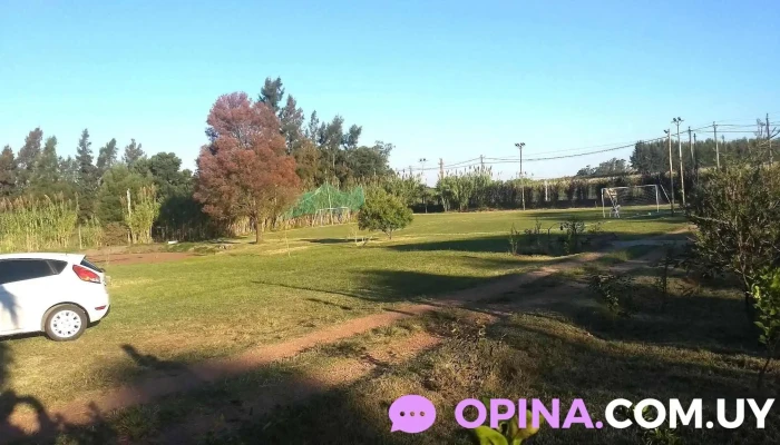 Funeplants - Cam. Perugorría 7873