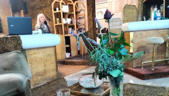 Galeria Del Notariado Telefono - Montevideo