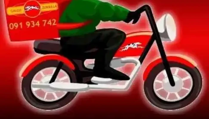 Galgo Del Zorrilla -  Del Propietario - Artigas