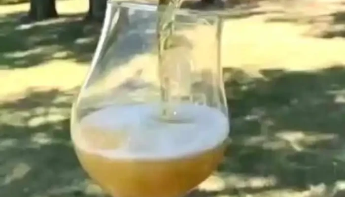 Galia Brewing Co -  Del Propietario - Carmelo