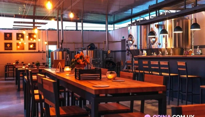 Galia Brewing Co -  Todas - Carmelo