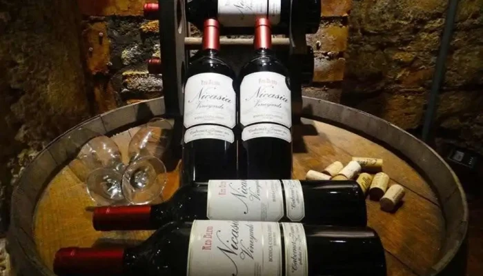 Gardel Restaurante E Parrillada -  Vino - Rivera