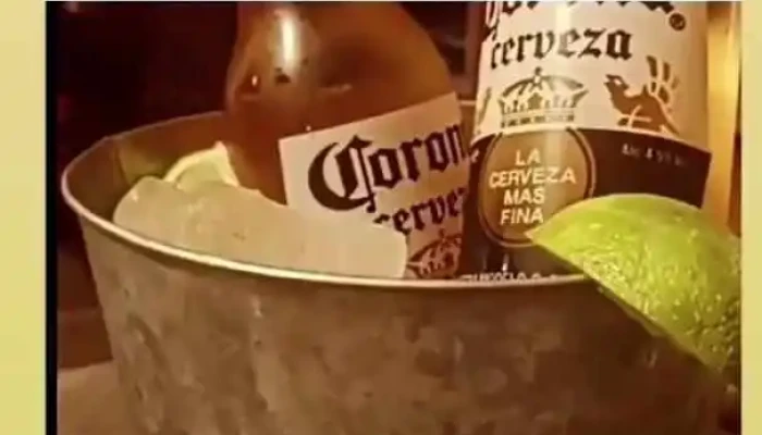 Gastro Garden Restocafe Del Propietario - Aceguá