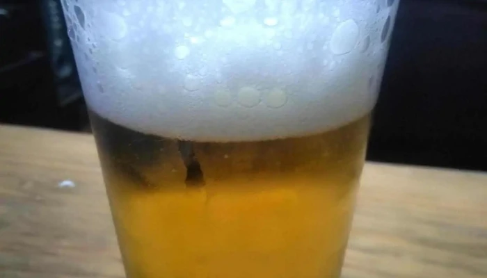 Gato Arisco Beer -  Comidas Y Bebidas - Maldonado