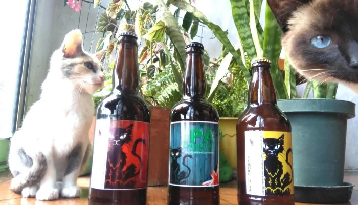 Gato Arisco Beer -  Todo - Maldonado