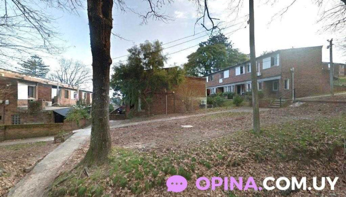 Geer't Terapias Alternativas - Col. Del Sacramento