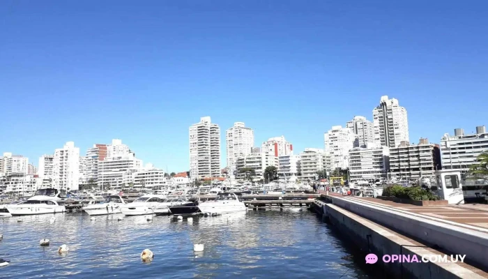 Gelateria Il Porto Helados Artesanales Videos - Punta del Este