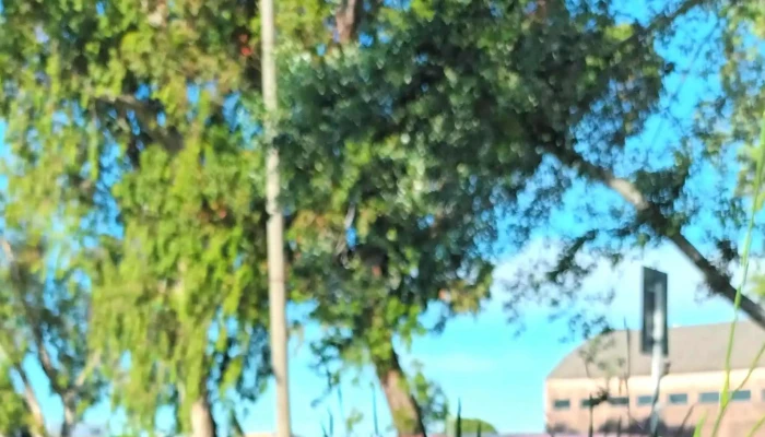 Gelato Factory -  Comentario 3 - Maldonado