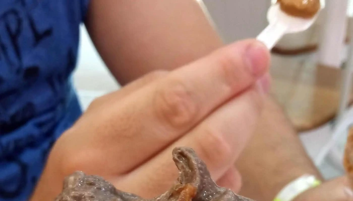 Gelato Factory -  Comentario 7 - Maldonado