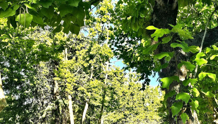 Gelinel Sa Descuentos - Montevideo