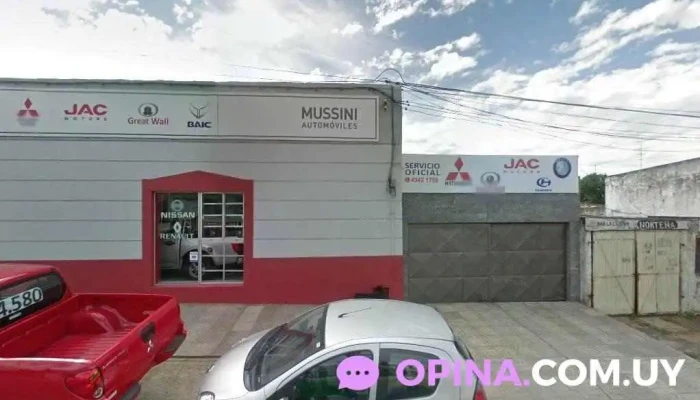 Gimnasio Alpha - San José De Mayo