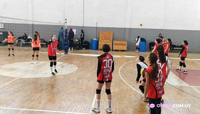 Gimnasio Argos Acj -  Videos - San José de Mayo