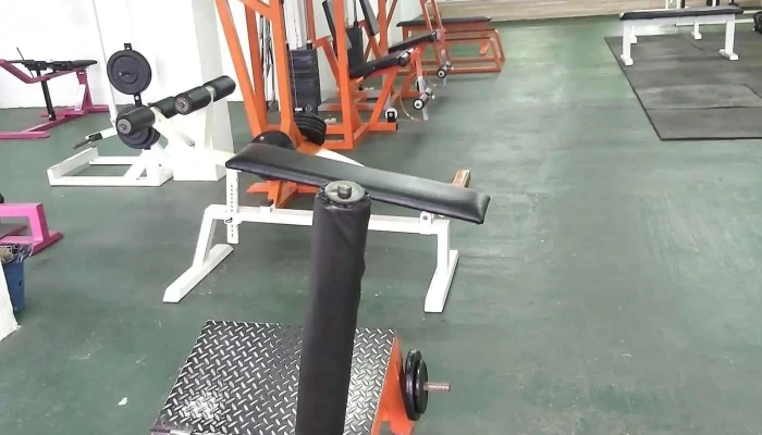 Gimnasio Jw Fitness -  Descuentos - Progreso