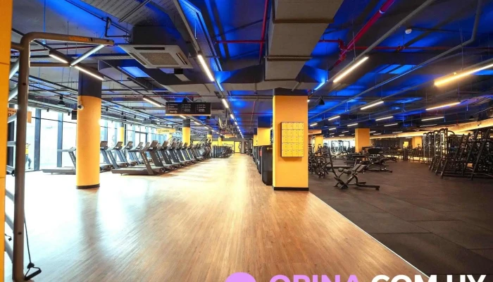 Gimnasio Smart Fit -    Sede Punta Del Este Del Propietario - Punta del Este
