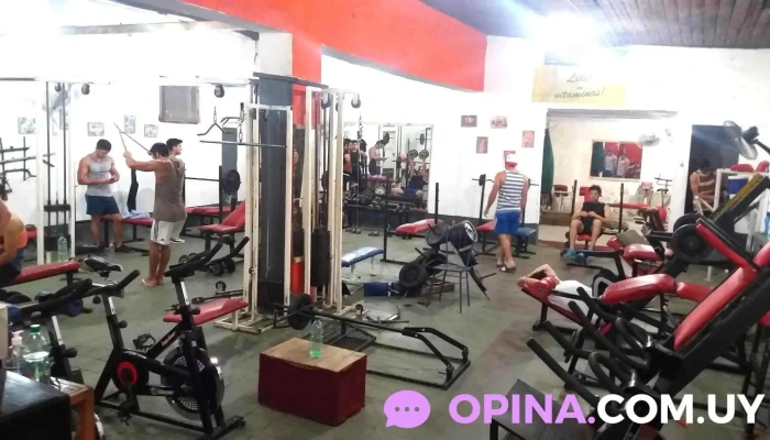 Gimnasio Versus -  Maquina De Ejercicio - San José de Mayo