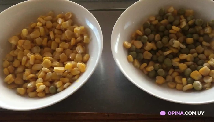 Gino Comidas Rapidas Del Propietario - Paysandú