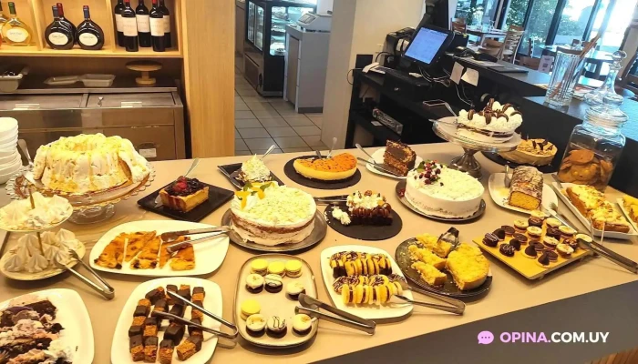 Gino Restaurant -  Masa - Ciudad del Plata