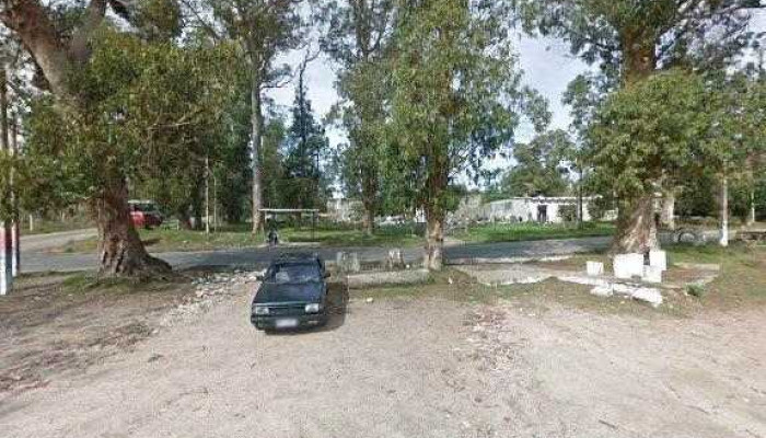 Girasoles Del Oeste -  Fotos - Pajas Blancas