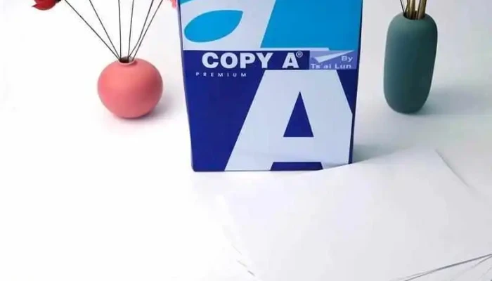 Global Soluciones -  Papel - Las Piedras