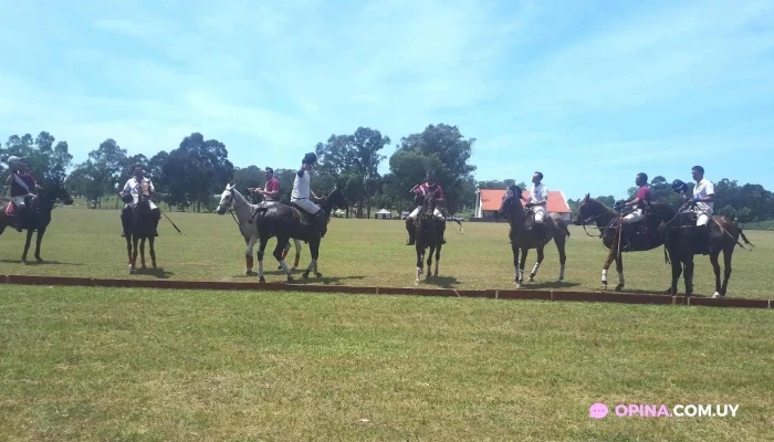Glorieta Polo B -  Todo - Montevideo