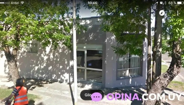 Grafica Germania Del Propietario - Nueva Helvecia