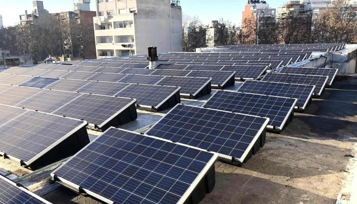 Grafica Mosca Del Propietario - Montevideo