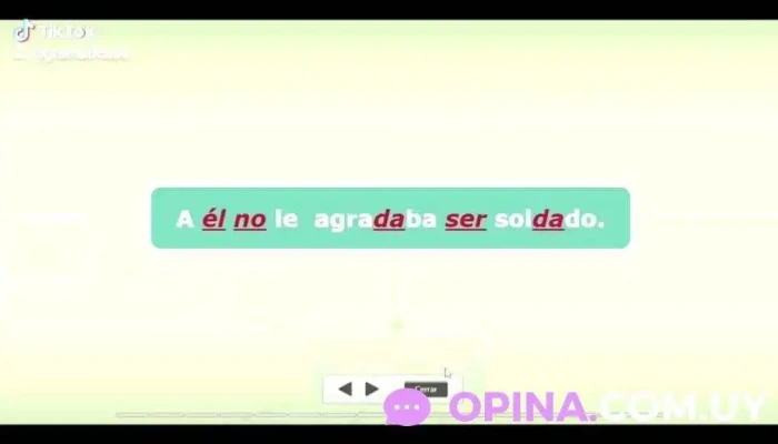 Gramaticase Del Propietario - San Carlos