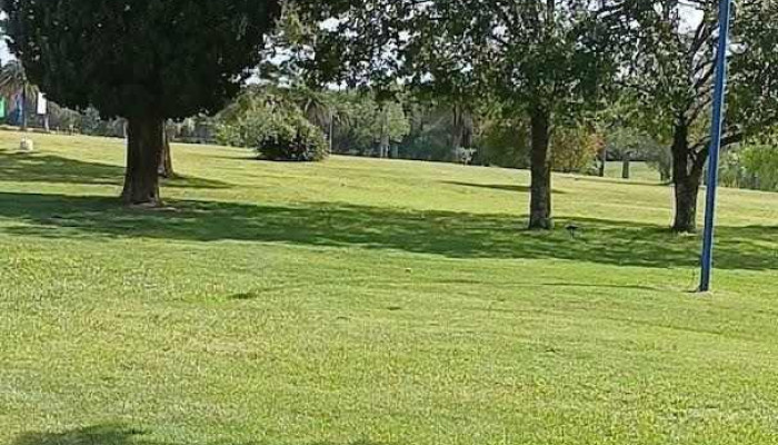 Granja Arenas -  Mas Recientes - El Quinton