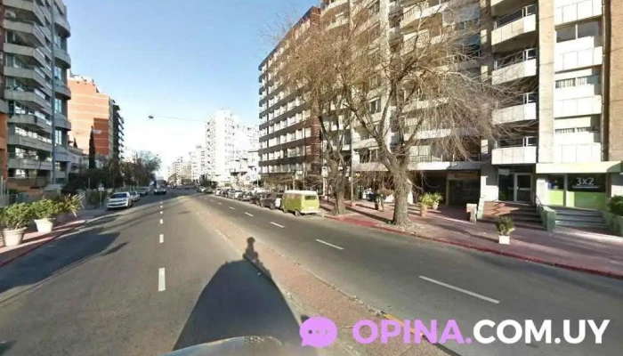 Granja el Ombú - 11300 Montevideo