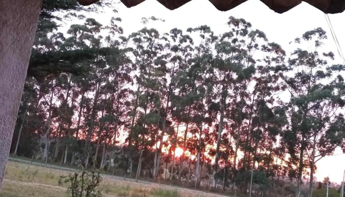 Granja Gijon - 12800 Montevideo