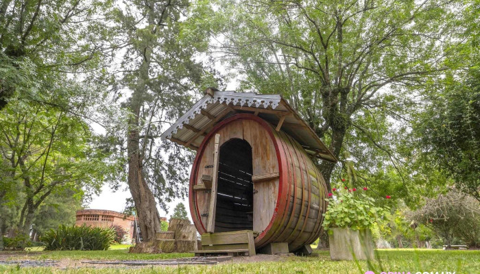 Granja Hotel Suizo -  Todo - Nueva Helvecia