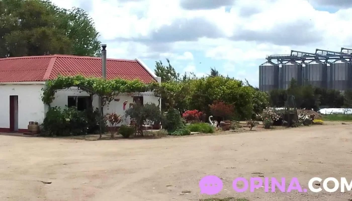 Granja Los rosales - 70800 Departamento De Colonia