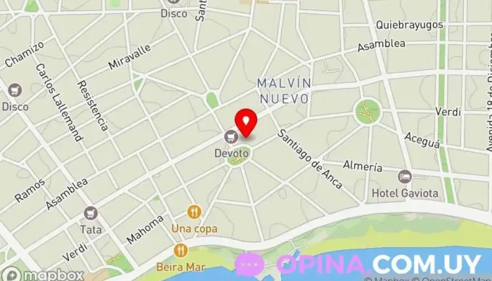 mapa de Gray Matter Neurociencias Aplicadas Clínica psiquiátrica en Montevideo