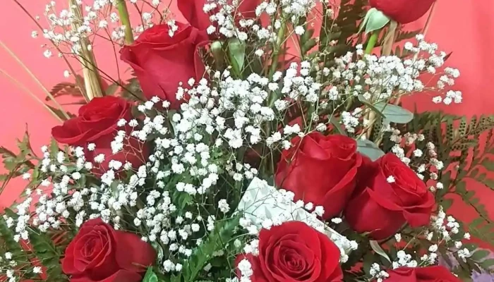 Grecia -  Promocion - Montevideo